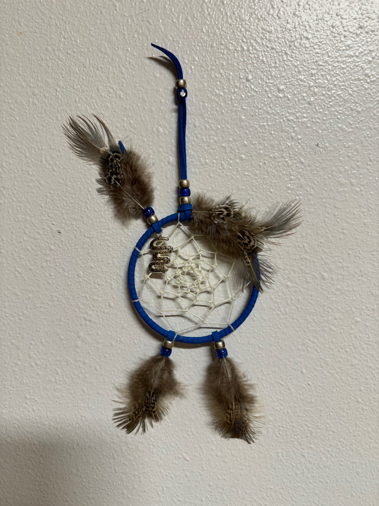 Blue Snake Catcher