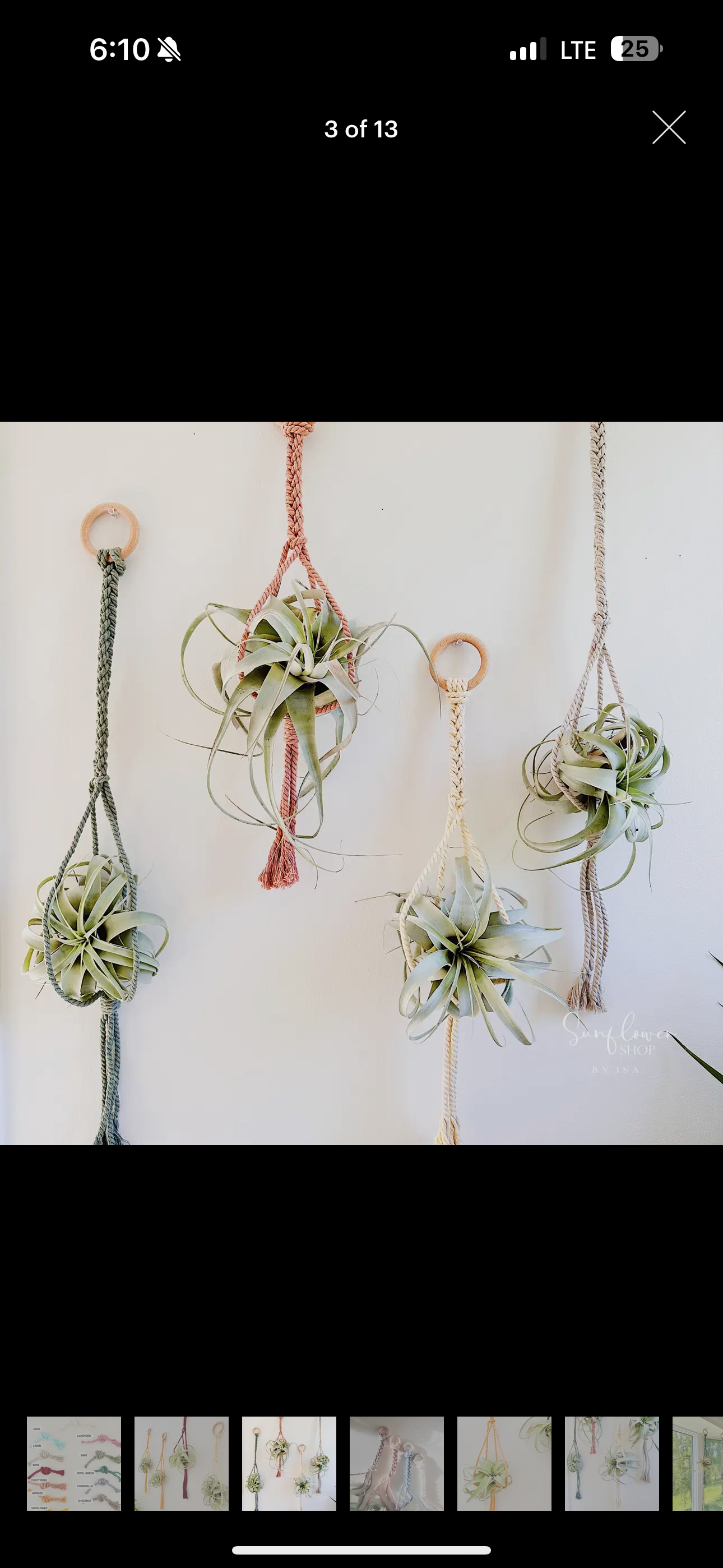 Xerographica Air Macrame Plant Holder