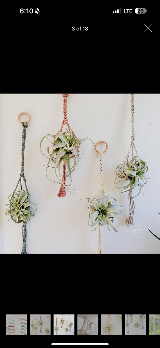 Xerographica Air Macrame Plant Holder