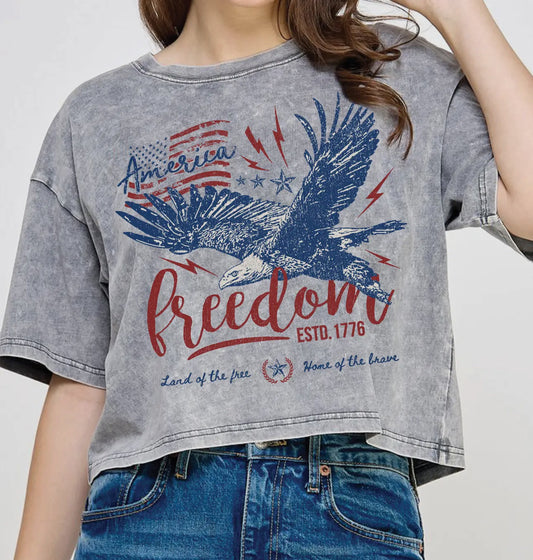 Freedom Flies